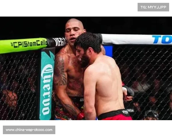 专家展望佩雷拉升重重量级，若成功将加剧史上最伟大选手争论